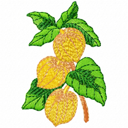 Flowers Embroidery Design 5